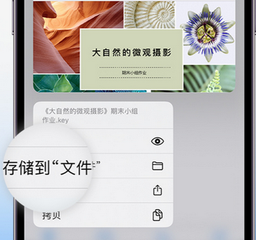 南朗镇apple维修中心分享iPhone文件应用中存储和找到下载文件