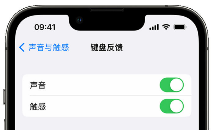 南朗镇苹果手机维修分享iPhone 14触感键盘使用方法 